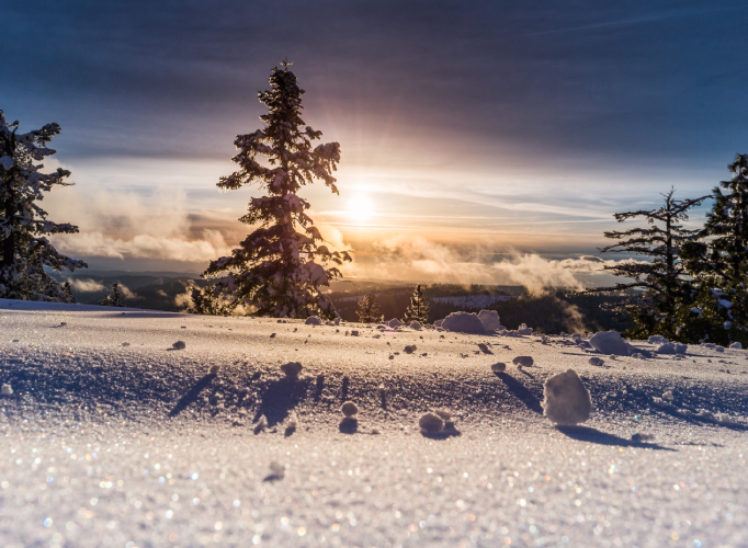 Romantic Christmas Proposal Ideas For Snowposal 4