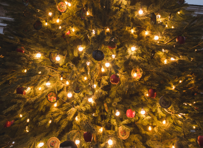 Romantic Christmas Proposal Ideas For Xmas Lights 9