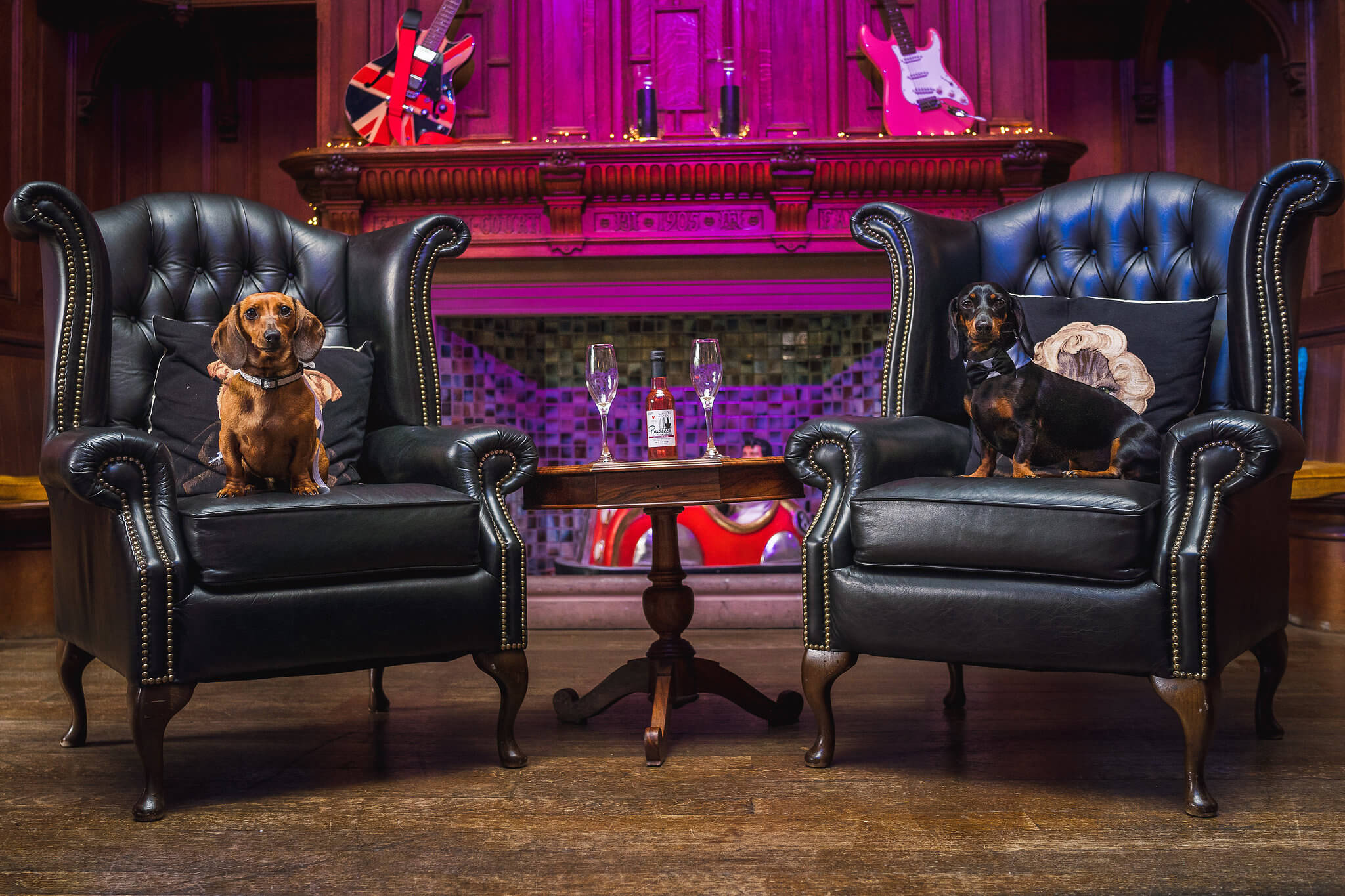 Dogs in The Rock Bar at The Manor