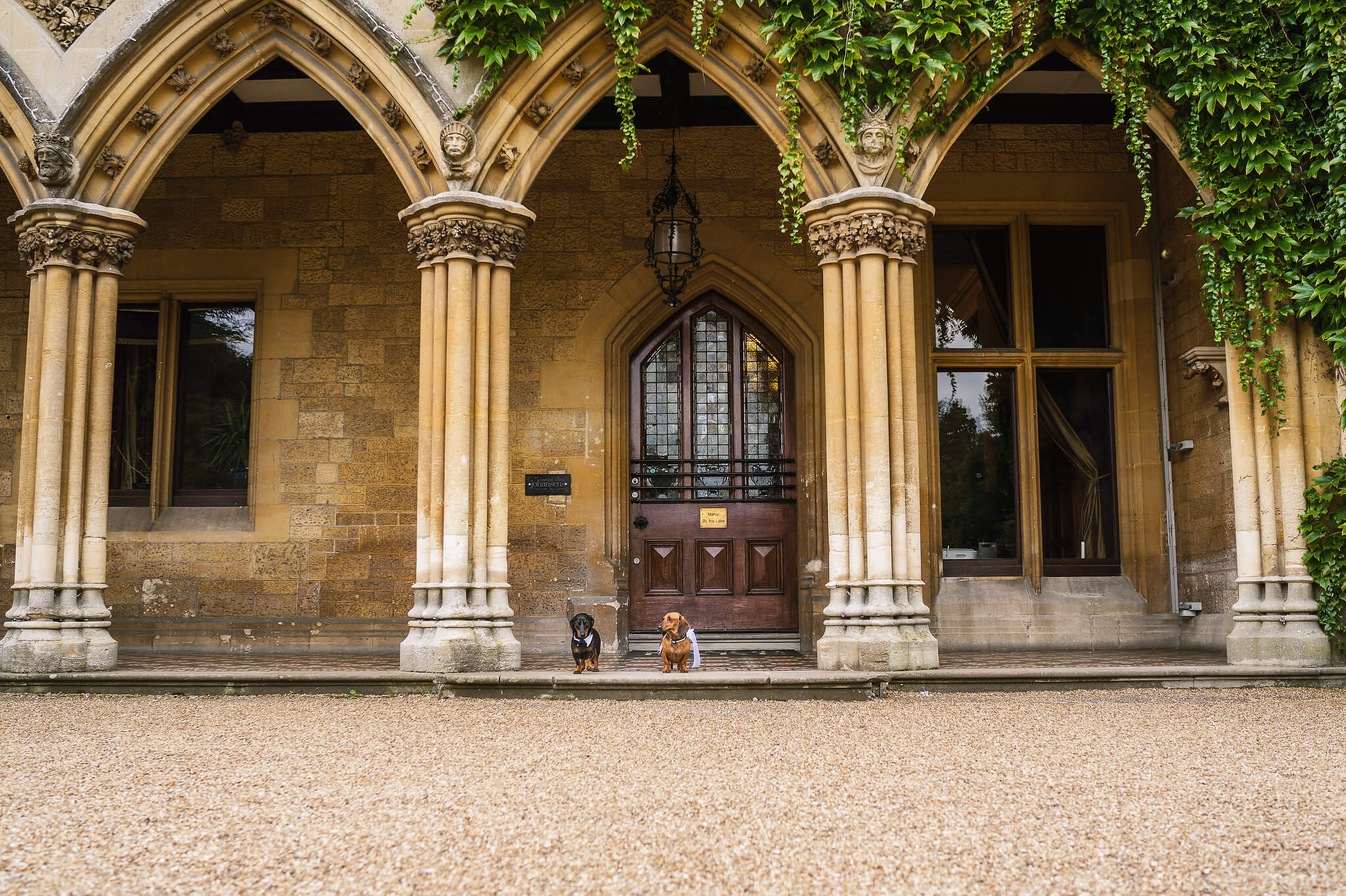 Dogs under The Manor Arches