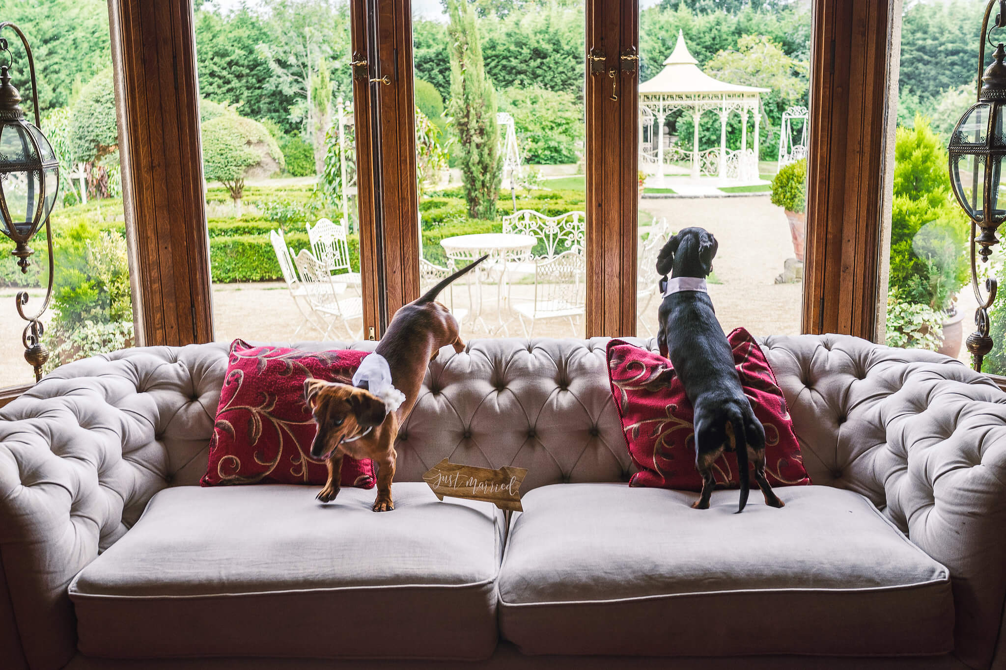 pet friendly venue in the library