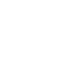 Weddings illustration butterfly 2