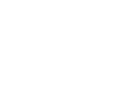 butterfly illustration