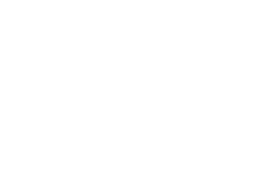 Birthdays illustration dove 2