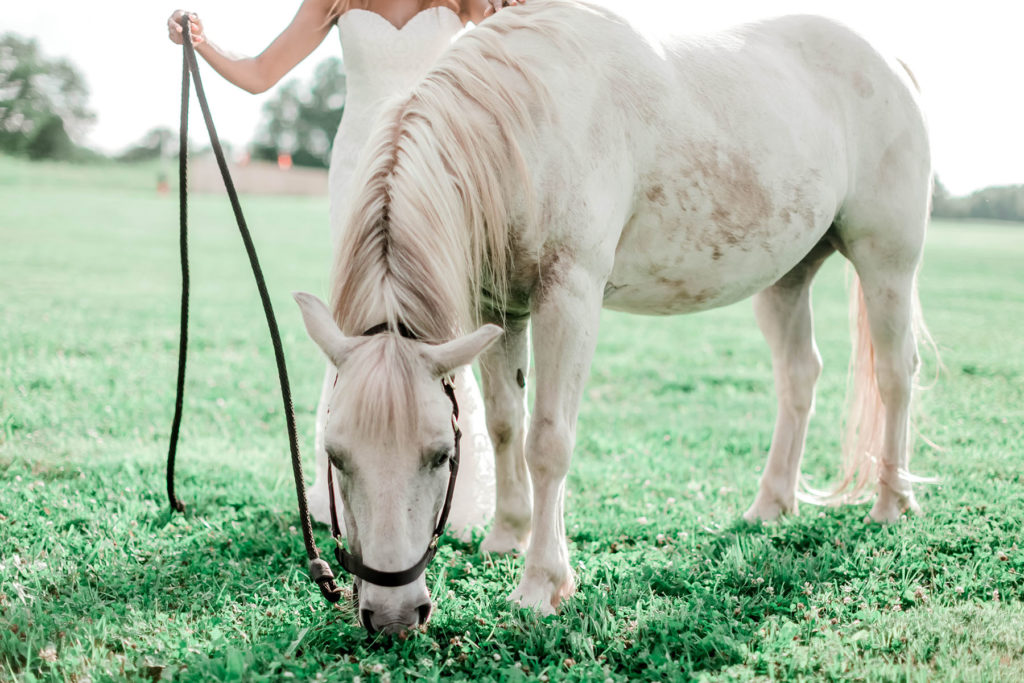 ways to keep children entertained at your wedding kids wedding pony 7